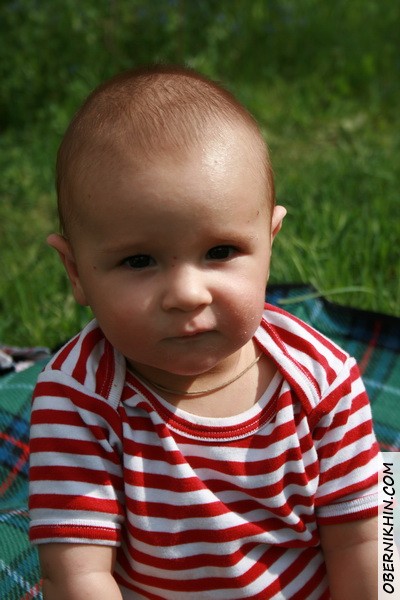 Прогулка на наш участок