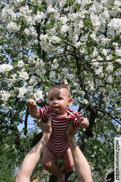 Петя в цвету :)