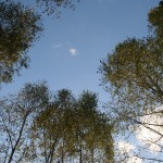 Наша крыша - небо голубое (пока что ;))