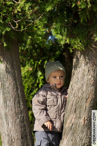 IMG_0649_новый размер