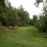 территория около домика