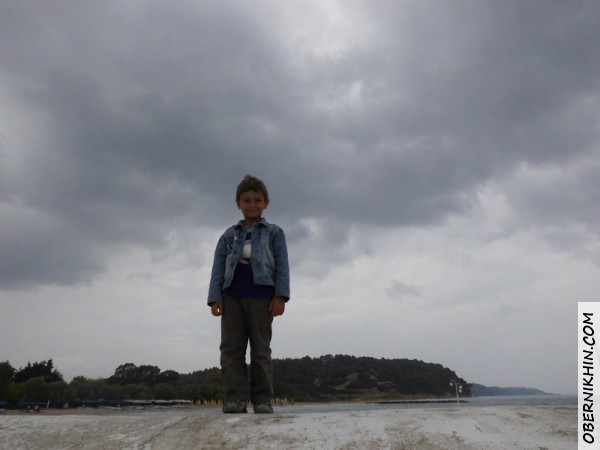 Петька на фоне грозовых туч