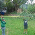 Митя и Петя сорвали "листик". Игра в пиратов