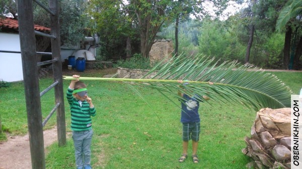 Митя и Петя сорвали "листик". Игра в пиратов