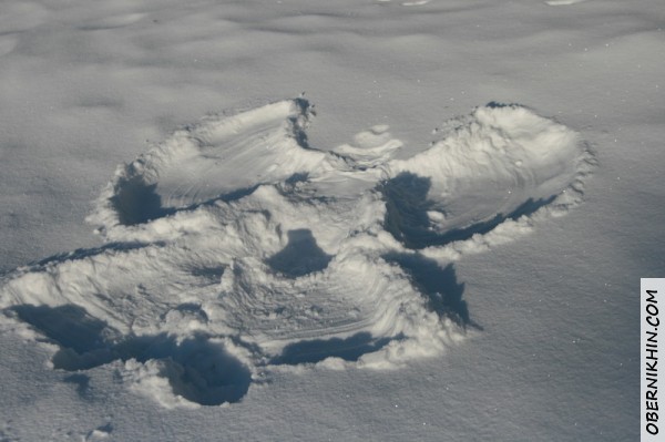 Сашкин Ангел