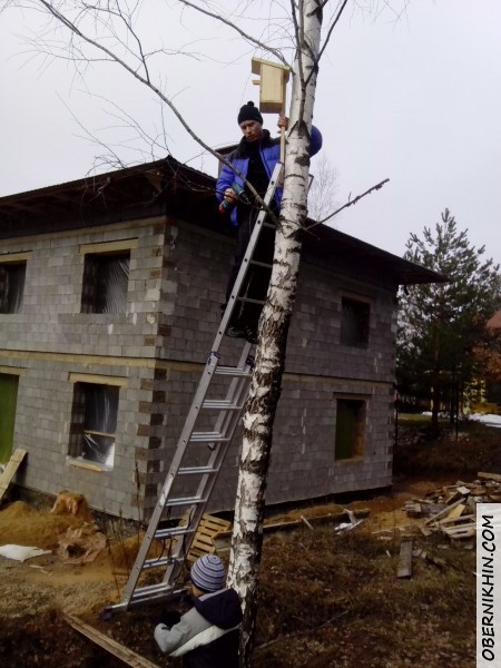 вешаем скворечник!
