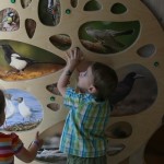 ... пение птиц. СЛУШАЕТ