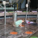 Степу канализация заинтересовала :)