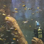 ... а кто-то чистит стены :)