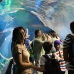 в тоннеле!!!