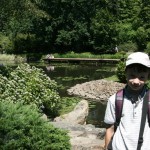 японский сад