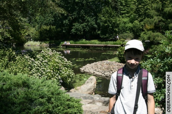 японский сад